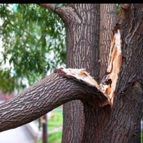 اره شرکت ماشین برزگر توان